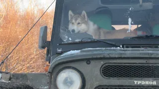 С лайками на охоте/Адреналин зашкаливает/