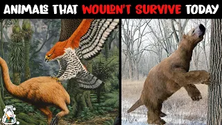 10 Extinct Animals That Couldn't Survive Today