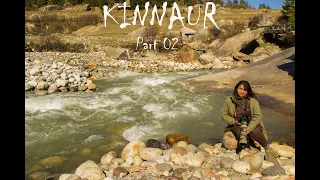 Best Kinnaur Trip Part 2 - Kalpa, Rakcham and Chitkul