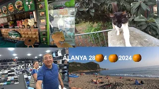 ТУРЦИЯ АЛАНЬЯ 28 АПРЕЛЯ 2024 ROMKA ROKER ALANYA