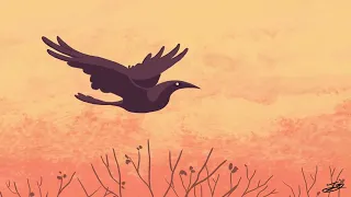 Crow Flight Animation Test