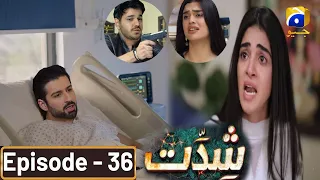 Chandni Aur Sultan Ki Mulaqat | Shiddat Episode 36 New Promo | Shiddat Next Promo 36 | New Teaser