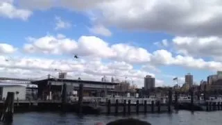 Obama Landing NYC Oct 18 2012