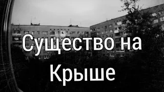 Существо на крыше. История на ночь