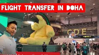 How to do Flight Transfer in Doha Hamad Airport Qatar