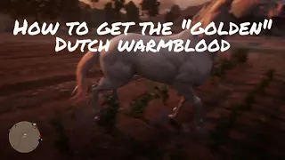 HOW TO GET THE "GOLDEN" DUTCH WARMBLOOD