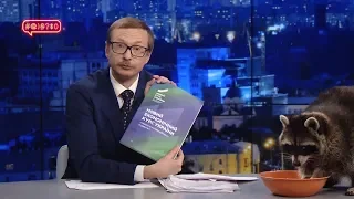 Єнот і 13 питань про Тимошенко