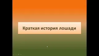 Дарья Кожанова  «Краткая история лошади»