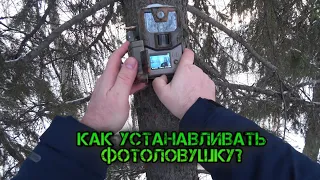 Рекомендации по установке фотоловушки в лесу