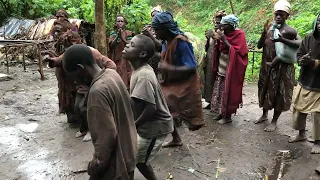 Pygmy tribe in Uganda