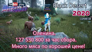 Оленина. Black Desert Фарм серебра 2020. Лучница. Лесной сторожевой пост.