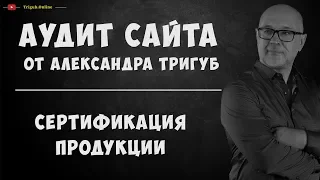 Аудит сайта по сертификации продукции. Анализ сайта на ошибки. Пример аудита сайта.