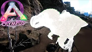 ARK OLYMPUS #71 - SPIRIT DodoRex Será o MELHOR