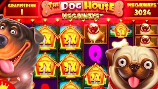 РЕКОРД ПО БУДКАМ В THE DOG HOUSE MEGAWAYS!