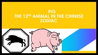 PIG - The 12th animal in the Chinese zodiac