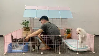 DIY Prefab Garden House for Pomeranian Poodle puppies &  kitten - Building Dog Cat Home Ideas #07