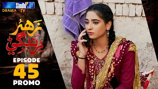 Zahar Zindagi - Ep 45 Promo | Sindh TV Soap Serial | SindhTVHD Drama