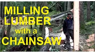 Making Lumber