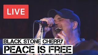 Emotional performance of Peace is Free by Black Stone Cherry