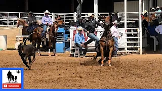 Invitational Tie-down Roping 2nd Go  🐂 2021 Spicer Gripp Memorial Roping