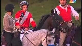 2012 Breeders' Cup Classic - Fort Larned + Post Race