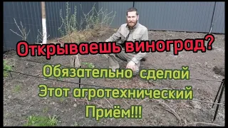 раскрываем виноградник весной. обсуждаем нюансы. ВАЖНО!!! обязательно сделай это после открытия