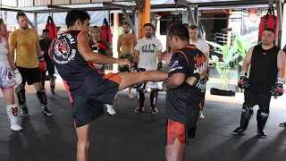 Beginner Level Muay Thai Techniques: Kick Defenses & Counters