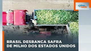 AGRONEGÓCIO: Safra de milho supera a dos EUA e Brasil amplia liderança nas exportações