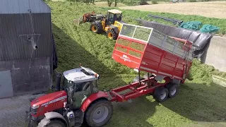 Alwyn Young Silage 2019