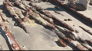 More of 19th-century shipwreck at Crescent Beach unearthed