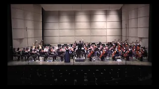 Saint-Saëns Concerto No.3 Mvt. I