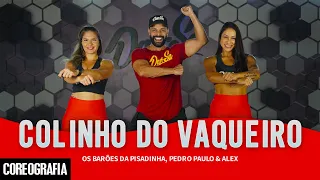 Colinho do Vaqueiro - Os Barões da Pisadinha, Pedro Paulo & Alex - Dan-Sa (Coreografia)