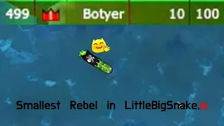 Little Big Snake smallest Rebel 😂 LitlteBigSnake.io smallest Rebel in the world | Best of BOTYER