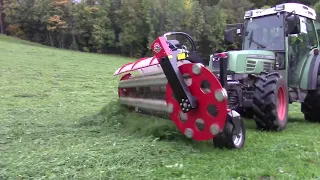 Schwadern mit Kammschwader am Hang / Fendt 209s