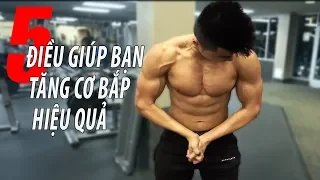 5 ĐIỀU NÀY SẼ GIÚP BẠN TĂNG CƠ BẮP HIỆU QUẢ HƠN