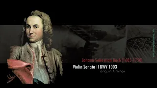 J. S. Bach: Violin Sonata II BWV 1003, arr. Smaro Gregoriadou, high-tuned scalloped pedal guitar