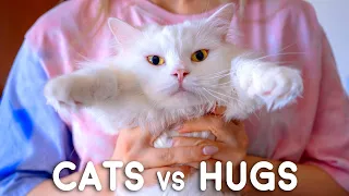 The Funniest Cat Videos 😻 - You should definitely watch!!! 2021 #14