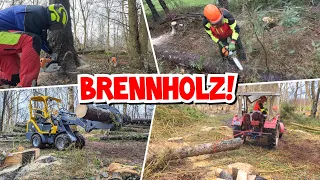 FEUER FREI! | Brennholz machen mit Hoflader und IHC 323 | Mr. Moto