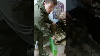 костюм тактический софтшелл Softshell Tactical