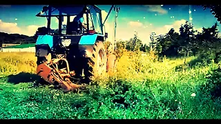 Трактор МТЗ 920 Беларус косит люцерну на сено сегментной косилкой. Belarus  #vseklevo #синийтрактор