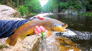 FLY FISHING The Ausable River For Brown Trout | Adirondack Mountains, NY