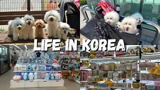 LIFE IN KOREA 🇰🇷 Daiso & Dog Park