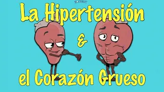 La Hipertrofia Ventricular Izquierda (HVI) y la Hipertensión