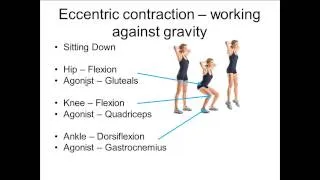 Analysis of movement 4; Squats and Press ups