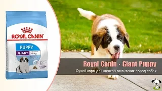 Сухой корм для щенков гигантских пород собак · Royal Canin Giant Puppy