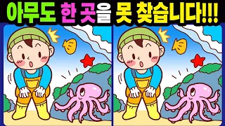 【다른그림찾기/치매예방】아무도 한 곳을 못 찾습니다!【틀린그림찾기/두뇌운동/숨은그림찾기/Find the Difference/치매예방퀴즈】974