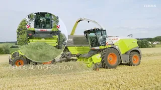 CLAAS JAGUAR - 50 лет специальной комплектации. 🔥🤝