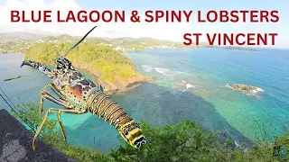 BLUE LAGOON, SPINY LOBSTERS & 225 STEPS IN ST VINCENT