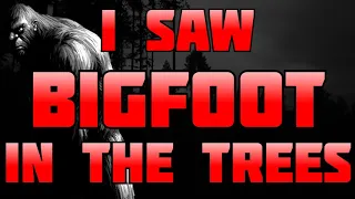 I WATCHED A BIGFOOT STAND UP IN THE FORK OF A TREE - True Encounters From Texas