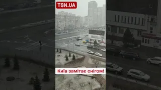 😱 Погода спаскудилася! У Києві мете сніг!